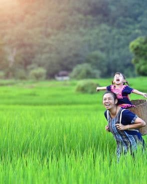 Vietnam-people-field