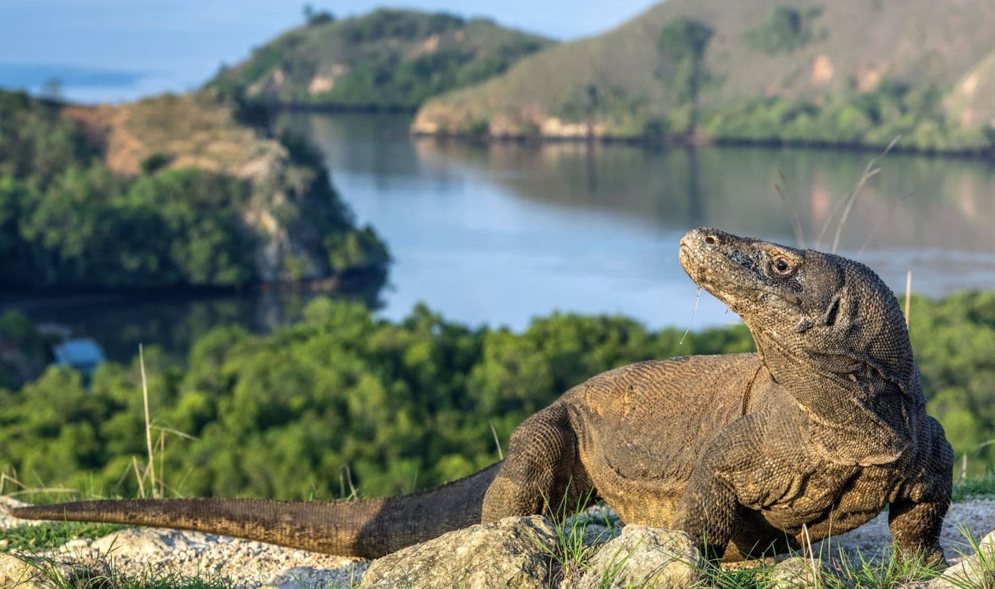 bali-und-komodo