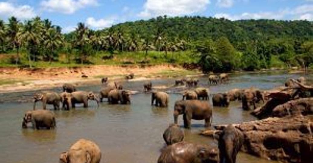 randonnees-treks-sri-lanka-escapade-nature.htm