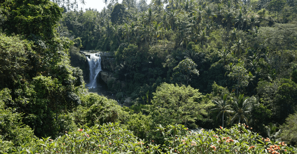 top-5-des-cascades-a-bali.htm