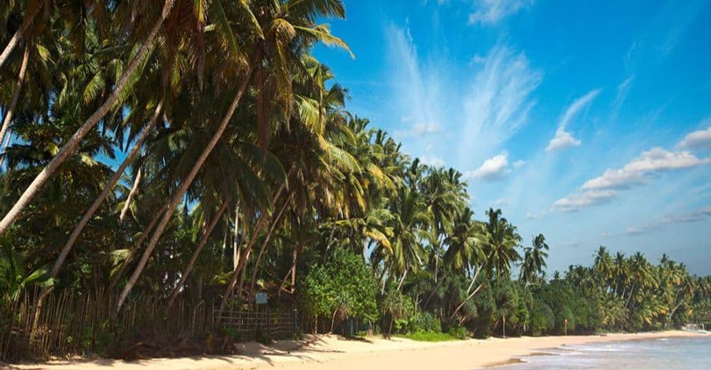 tourismus-in-sri-lanka-eine-insel-ohne-saison.htm