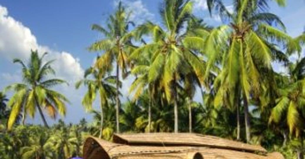 erstaunliche-reise-nach-kerala-gastestimme-von-shanti-travel.htm