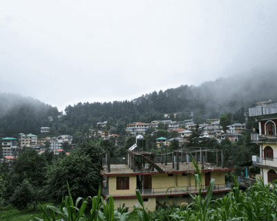 walk-clouds-dharamkot.htm