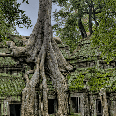 cambodia-Angkor-Wat