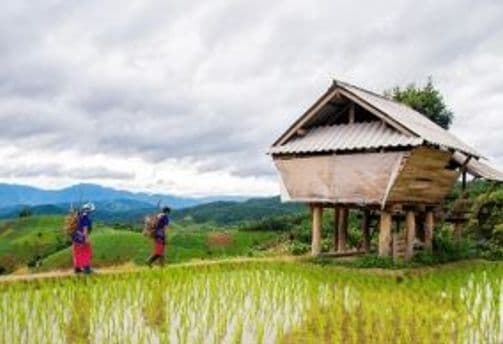 packliste-vietnam