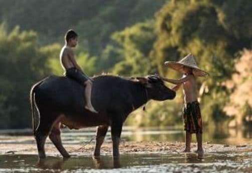 vietnam-sehenswurdigkeiten