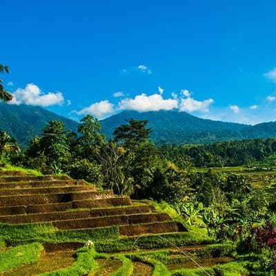 bali-in-the-heart-of-nature