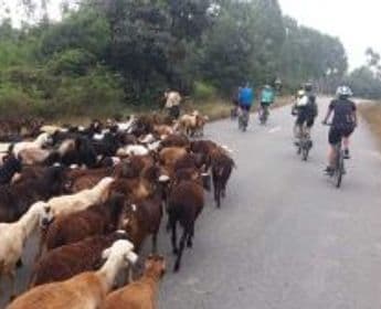 cycle-through-kerala