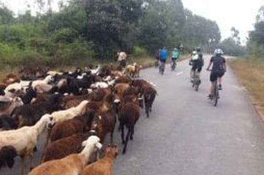 cycle-through-kerala