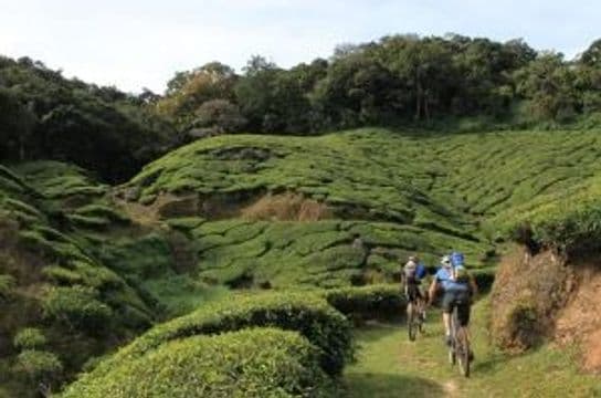 cycle-through-kerala