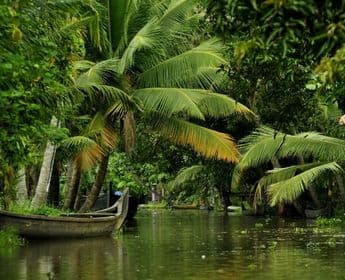 kerala-the-heart-of-traditional-ayurveda