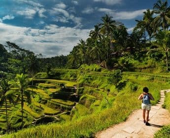 rice-fields-of-bali-to-komodo-dragons