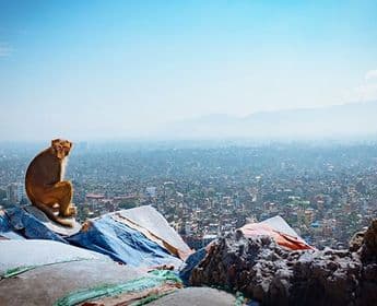 royaumes-himalayens-nepal-sikkim-bhoutan