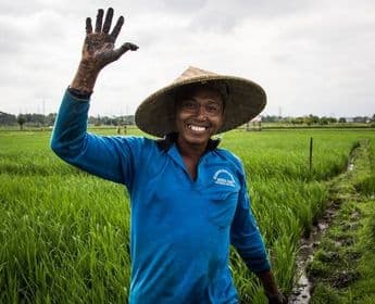 rice-fields-of-bali-to-komodo-dragons