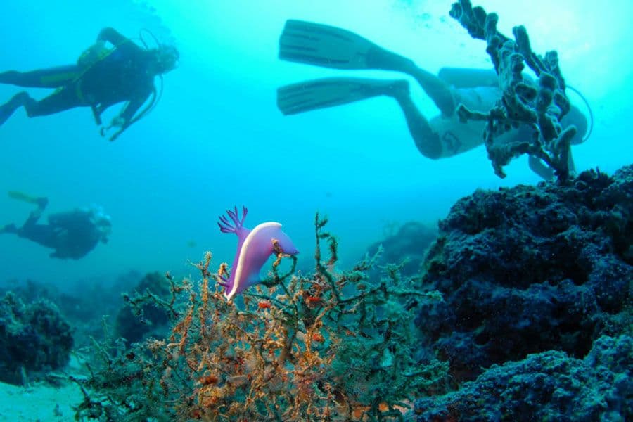 les-5-must-de-bali-et-sa-region.htm