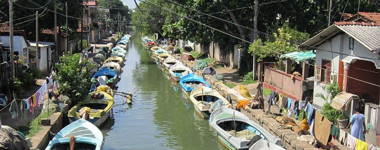 hamilton-kanal-ein-magnet-fur-okotourismus.htm