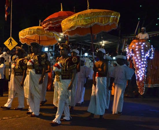 la-perahera-du-temple-de-bellanwila-au-sri-lanka.htm