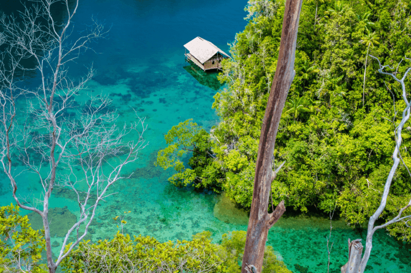 ou-partir-vacances-asie-ete.htm