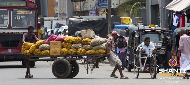 voyager-avec-un-chauffeur-au-sri-lanka.htm