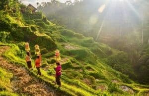 Avant de partir en Indonésie