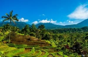 Sites et blogs pour aller plus loin ?